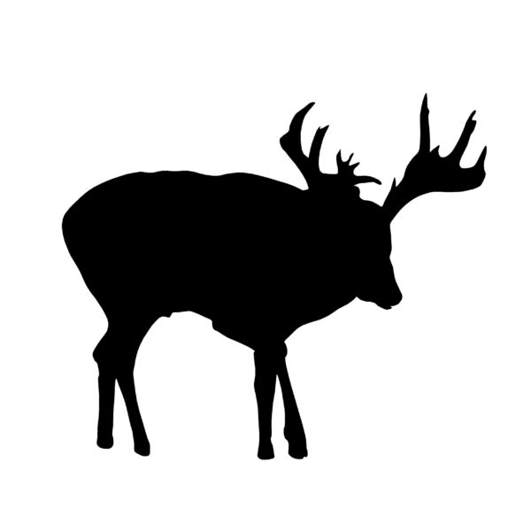 Whitetail Buck Head Down Decal Whitetail Deer Sticker