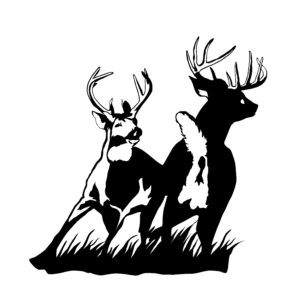 Bucks Fighting Deer Hunting Decal - Sparing Whitetail Deer Buck Sticker - 1105