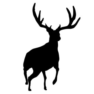 Mule Deer Hunting Decal - Mule Deer Hunting Sticker - 1201