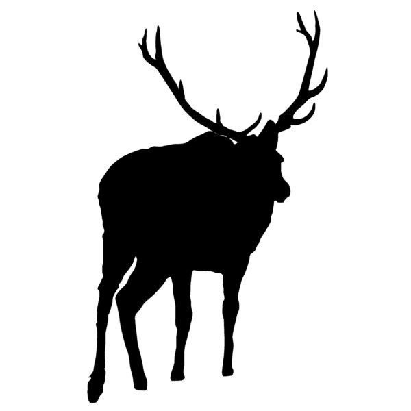 Bull Elk Window Decal Elk Rut Window Decal 1302