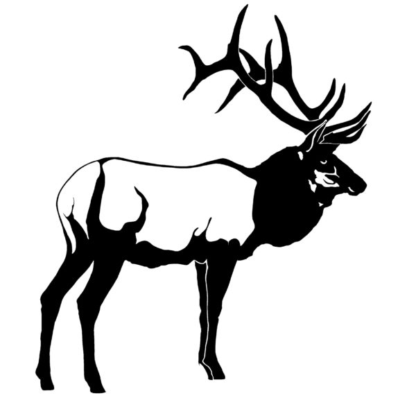 Bull Elk Decal Detailed Elk Hunting Sticker