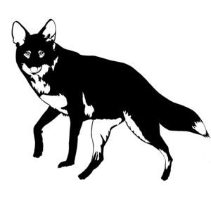 Coyote Window Decal - Coyote Hunting Sticker - 1404