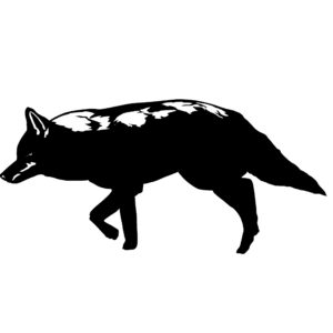 Coyote on Prowl Decal - Coyote Hunting Sticker - 1405
