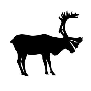 Caribou Hunting Decal - Caribou Hunting Sticker - 1601