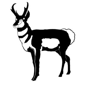 Pronghorn Antelope Hunting Decal
