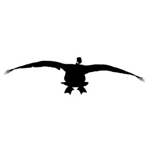 Honker Flyin Goose - Goose Decal - Goose Sticker - 2003
