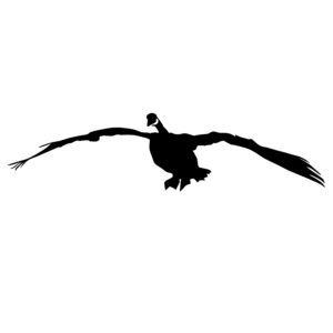 Honker Goose Flying Trailer Decal - Goose Wall Decal Decal