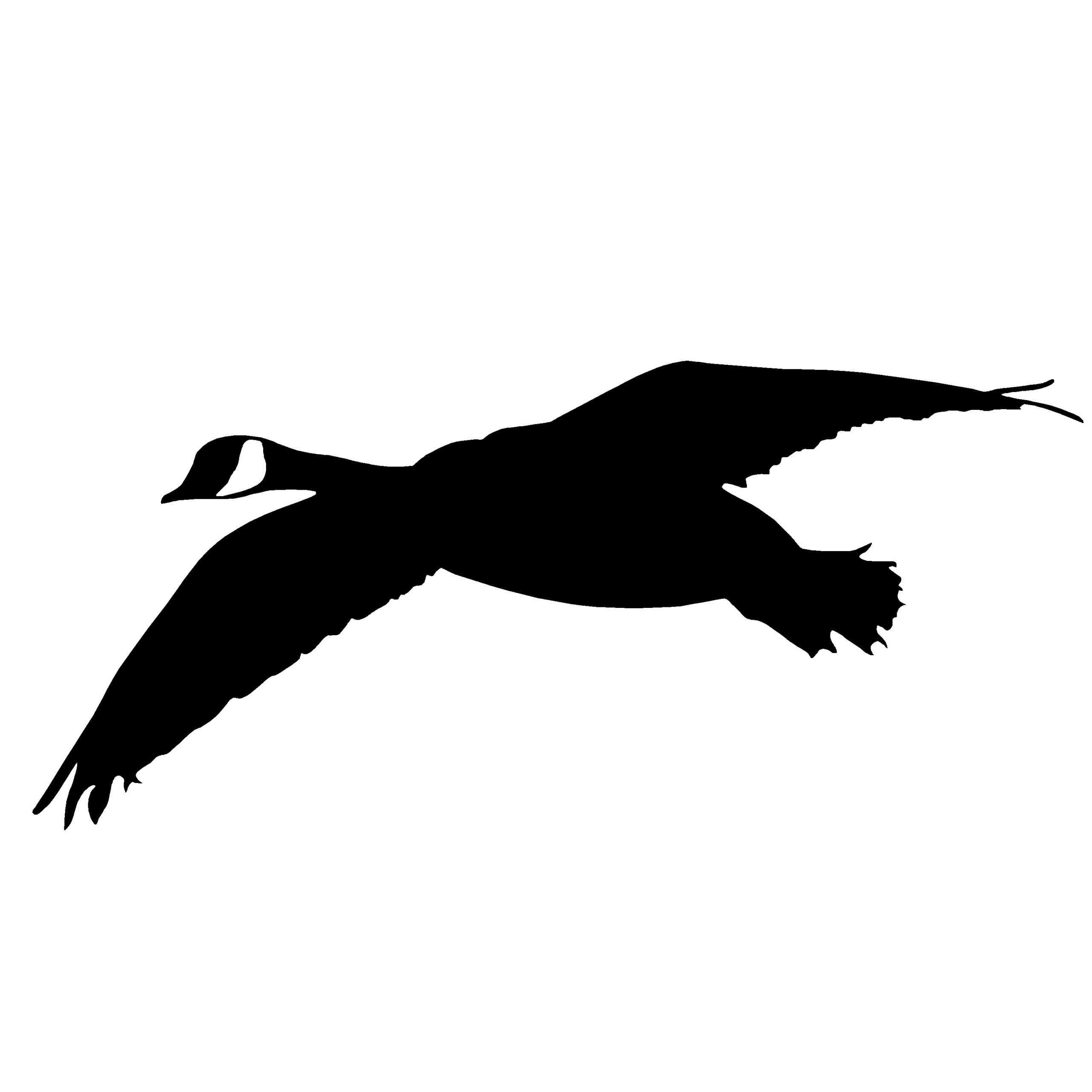 Goose Turning In Goose Hunting Decal