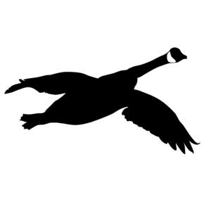 Goose Hunting Silhouette Decal