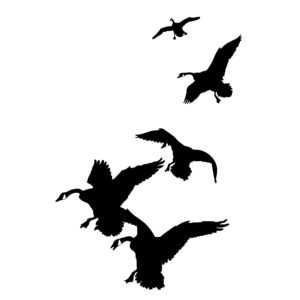 Geese Landing in the Spread Hunting Decal - Waterfowl Geese - 2023