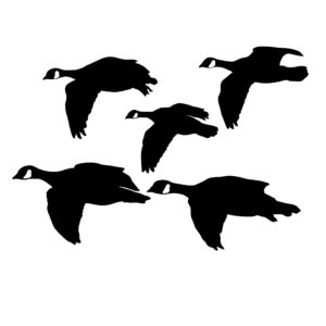 Cacklers Locked Up - Decal Goose Hunting - Hunting Sticker