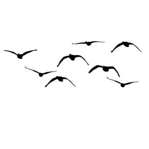String of Geese Comin at Ya' - Goose Hunting Decal - Goose Hunting Sticker - 2029
