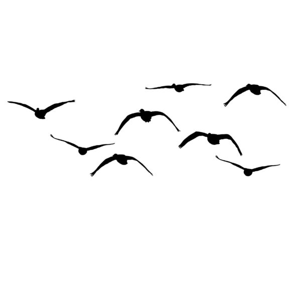 String of Geese Comin at Ya' - Goose Hunting Decal - Goose Hunting Sticker - 2029