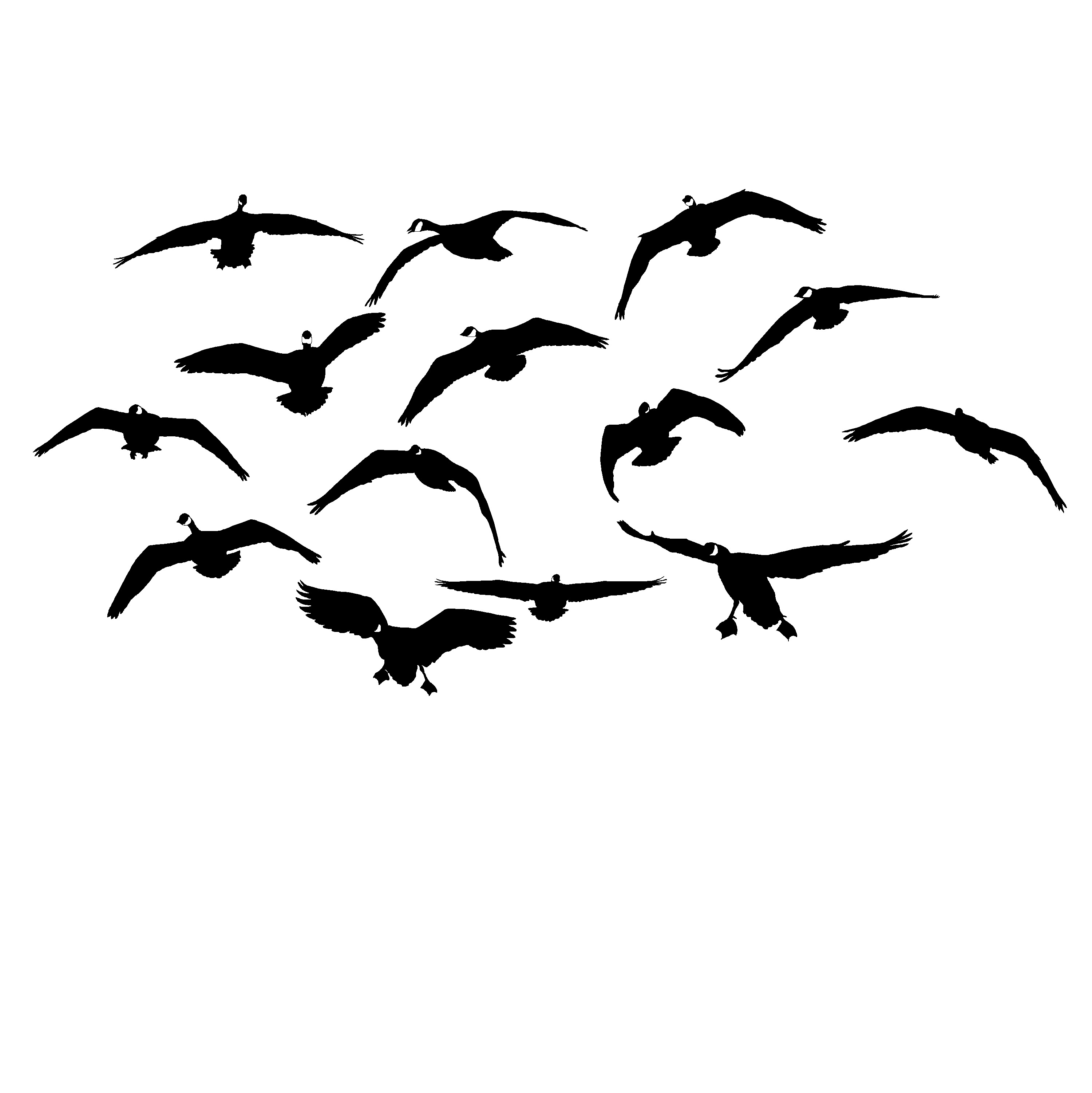 mess-of-geese-comin-at-ya-goose-hunting-decal-2030