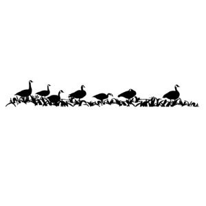 Geese Standing in Corn! Goose Hunting Decal - Hunting Sticker - 2033