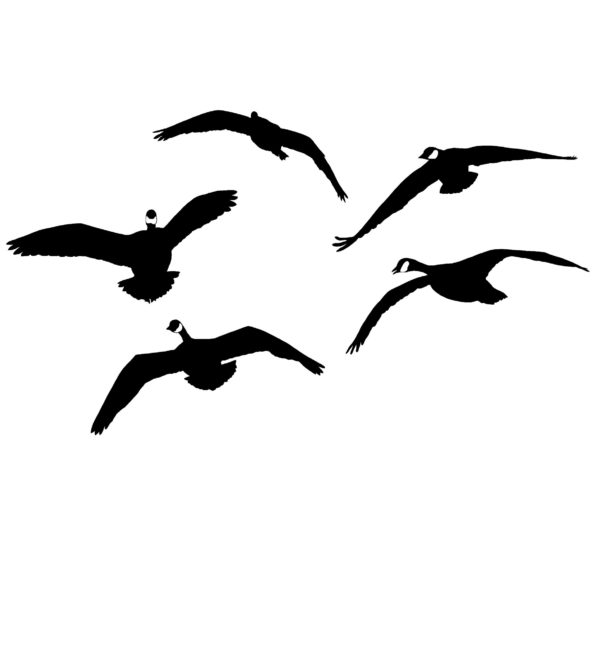 Canada Geese From the Side - Goose Hunting Decal - Hunting Sticker - 2037