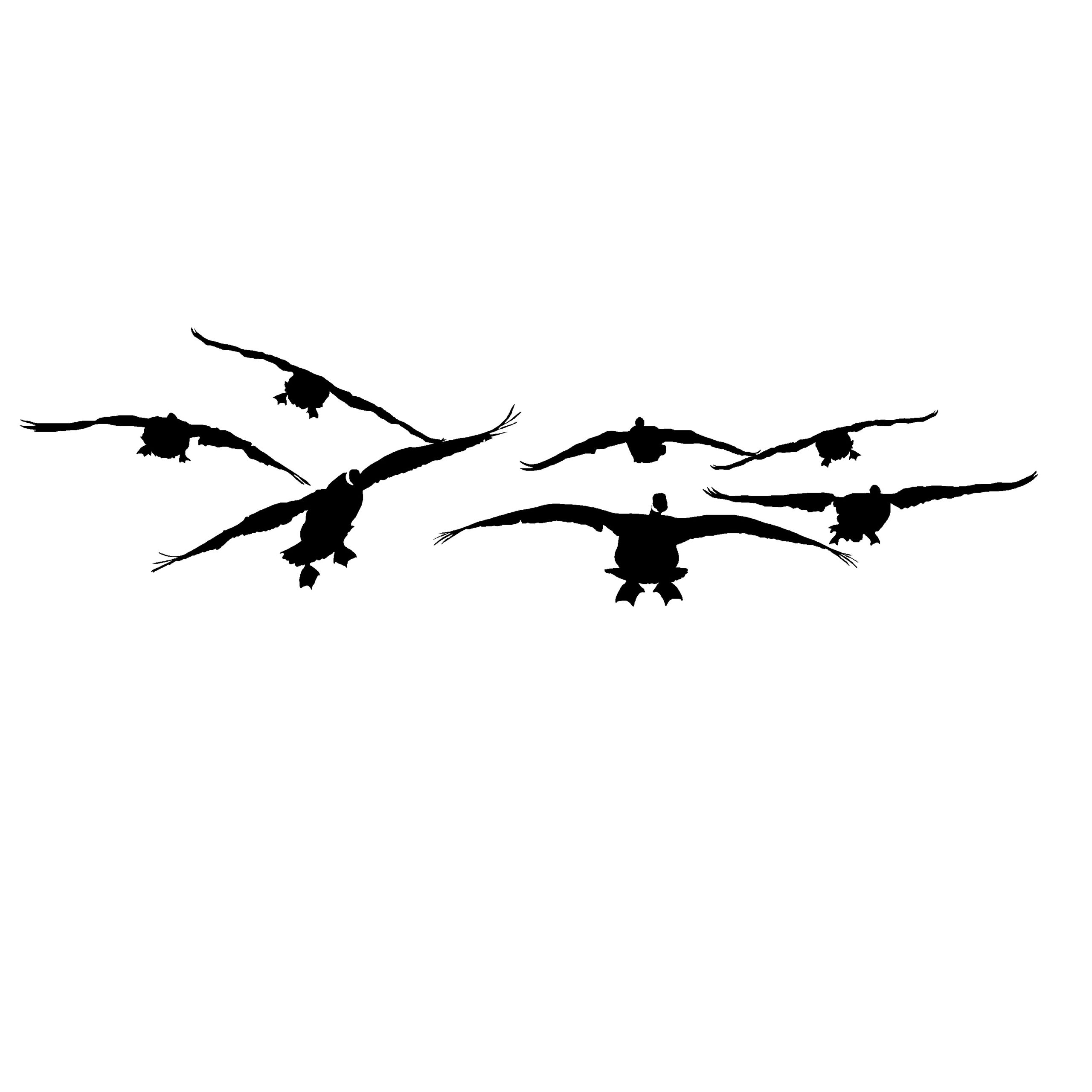 Goose Hunting Decal - Hunting Sticker -2051