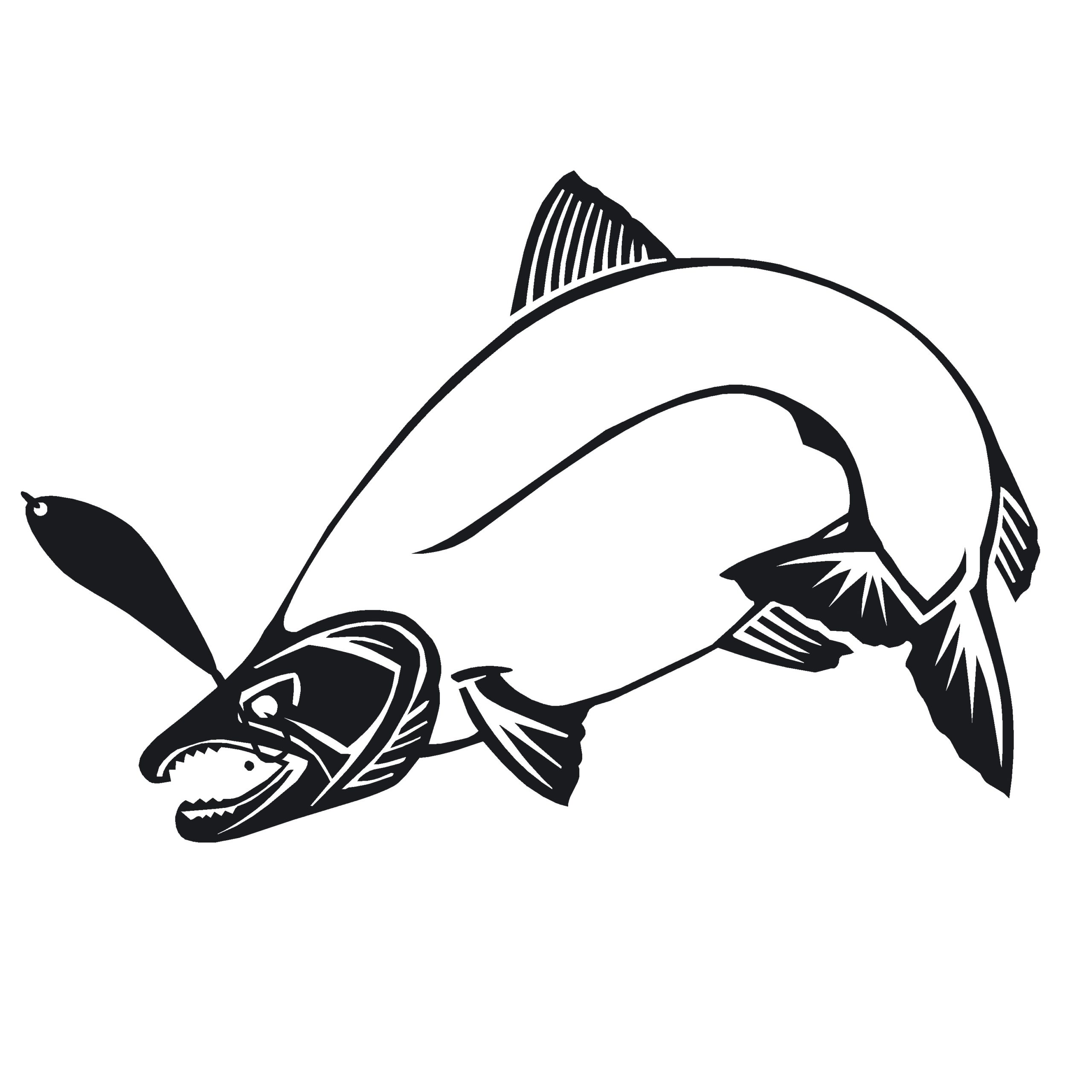 Salmon Fishing Decal - Salmon Fishing Sticker - 2210