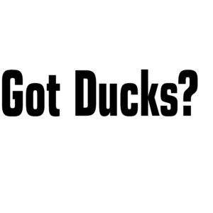 Got Ducks? Duck Hunting Decal -Waterfowl Sticker - 2411