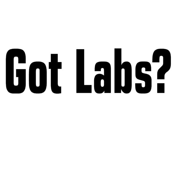 Got Labs? Labrador Retriever Hunting Decal - Hunting Sticker - 2421