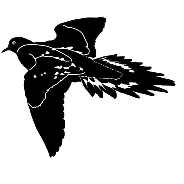 Dove Hunting Waterfowl Decal - Dove Hunting Waterfowl Sticker - 2501