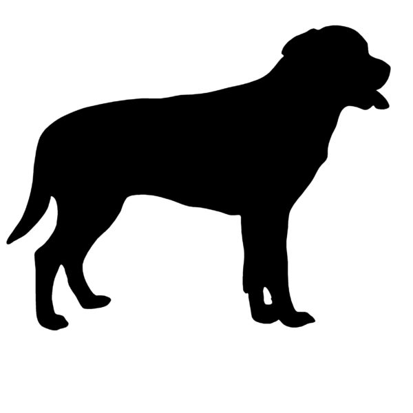Labrador Retriever Decal - Labrador Retriever Sticker - 3007