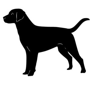 Labrador Retriever Dog Decal