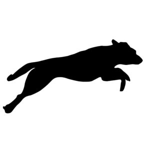 Jumping Labrador Retriever Dog Decal- Dog Sticker