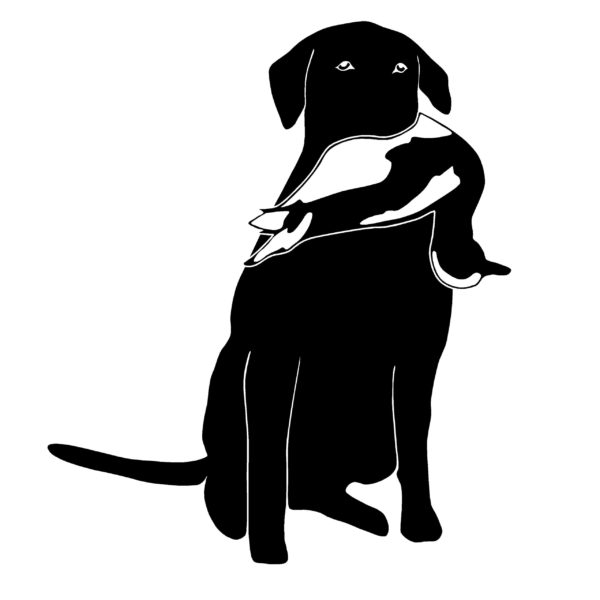 Labrador Retriever and Duck Hunting Decal