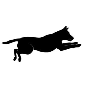 Jumping Labrador Retriever Dog Decal