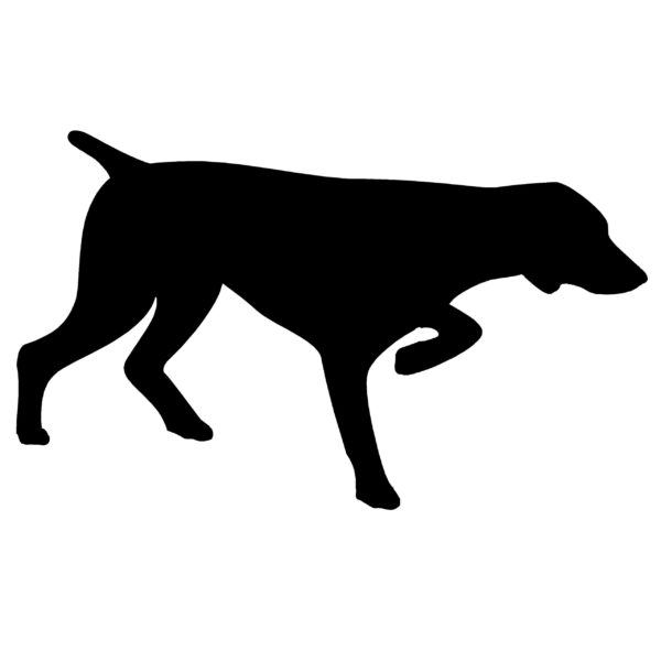 Pointer Hunting Dog Decal Pointer Hunting Dog Sticker