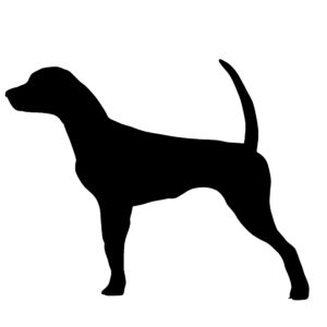 Pointer Hunting Dog Decal