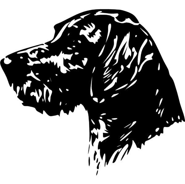 German Wirehaired Pointer Decal GWP Hunting Dog Decal