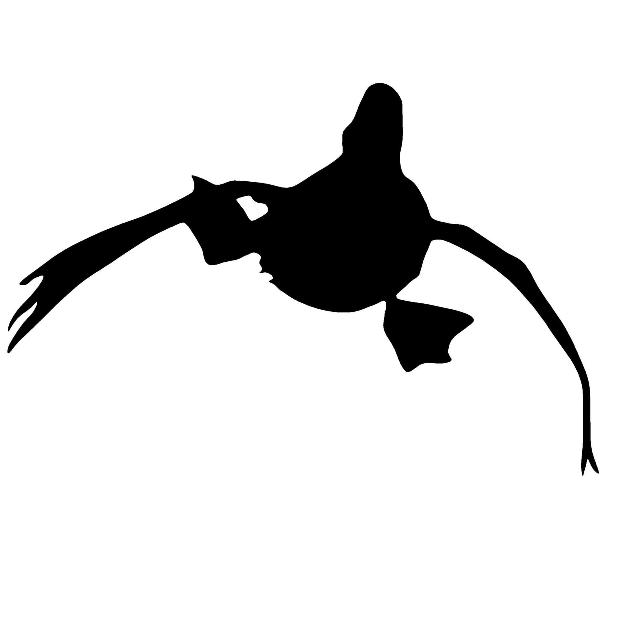 Ducks Comin' In Duck Hunting Decal - Ducks Comin' In Duck Hunting Stickers