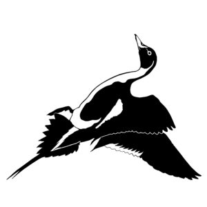 Pintail Drake Duck Hunting Decal - Hunting Sticker - 5035