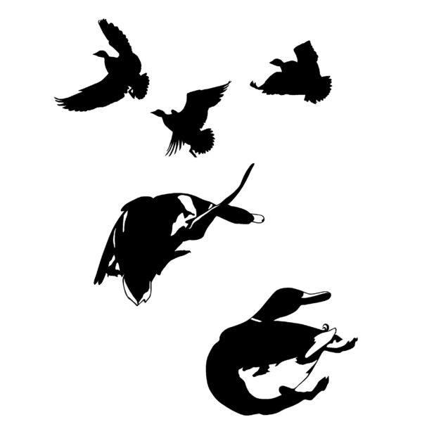 Ducks Get'n Whacked! Duck Hunting Decal