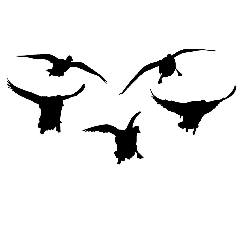 5 Mallards Comin' at Ya! Duck Hunting Decal -Hunting Sticker - 5056