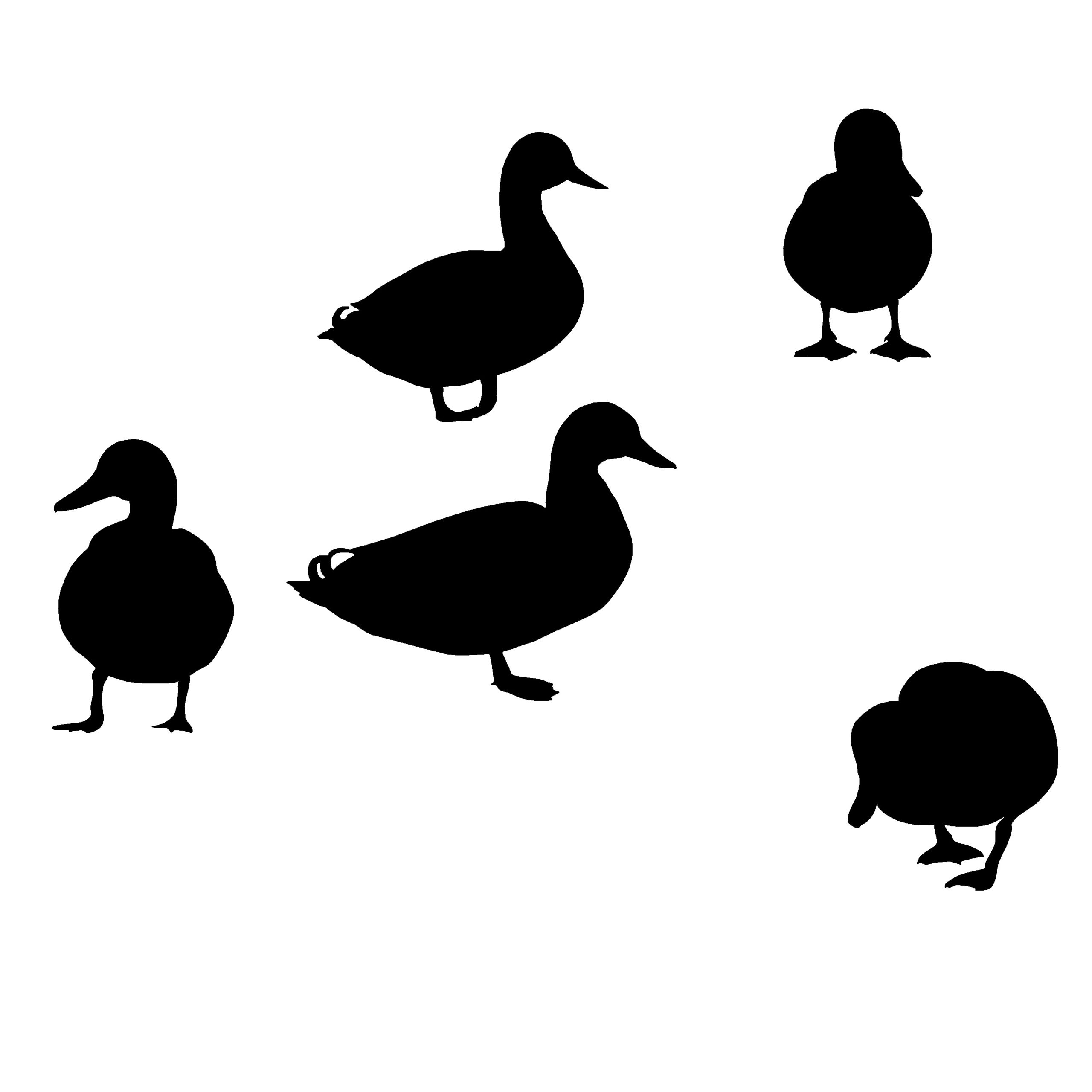 Mallards Standing Around! Duck Hunting Decal - Hunting Sticker - 5057