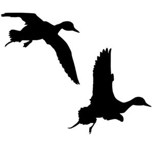 Pair of Bull Pintails Duck Hunting Decal - Hunting Sticker - 5061