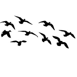 Wigeon Rounding the Corner Duck Hunting Decal - Hunting Sticker - 5062