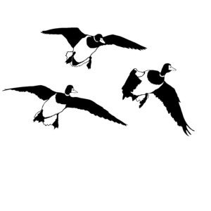 3 Mallards Committed Duck Hunting Decal - Hunting Sticker - 5100