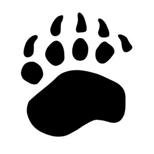 Bear Track Bear Paw Print Decal Hunting Sticker