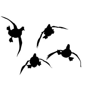 24 Duck Hunting Trailer Decal Duck Hunting Wall Decal Sticker