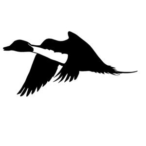 PinTail Flyin' By! Duck Hunting Sticker