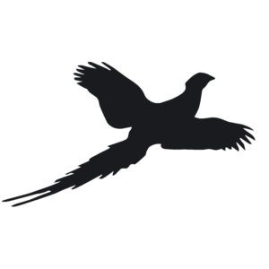 Pheasant Hunting Sticker - 1908