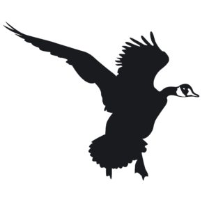 Goose Flapping Wings Decal - Flapping Goose Sticker - 1224