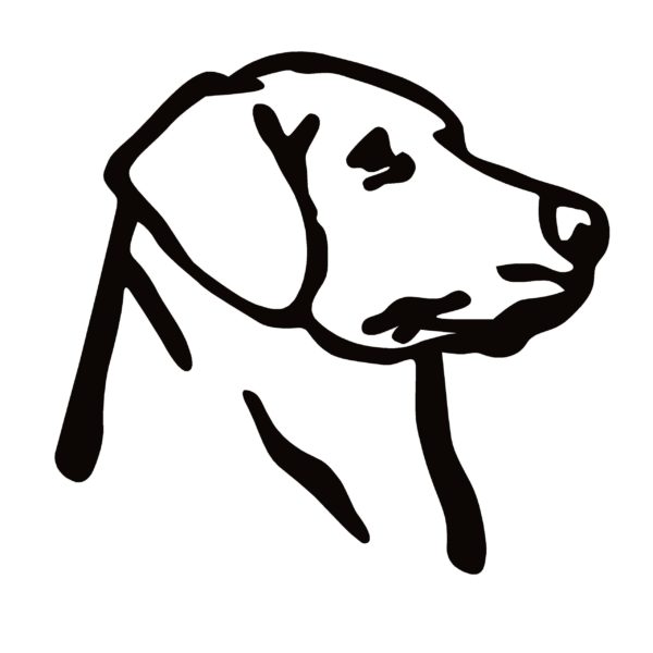 Labrador Retriever Head Hunting Dog Decal 4009