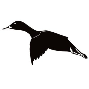 Canvasback Flying Goose Hunting Single Decal - Canvasback Flying Single Goose Hunting Sticker - 7336