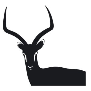 Impala Decal African Game Decal 1233