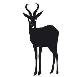 Springbok Decal - African Game Decal - 1234